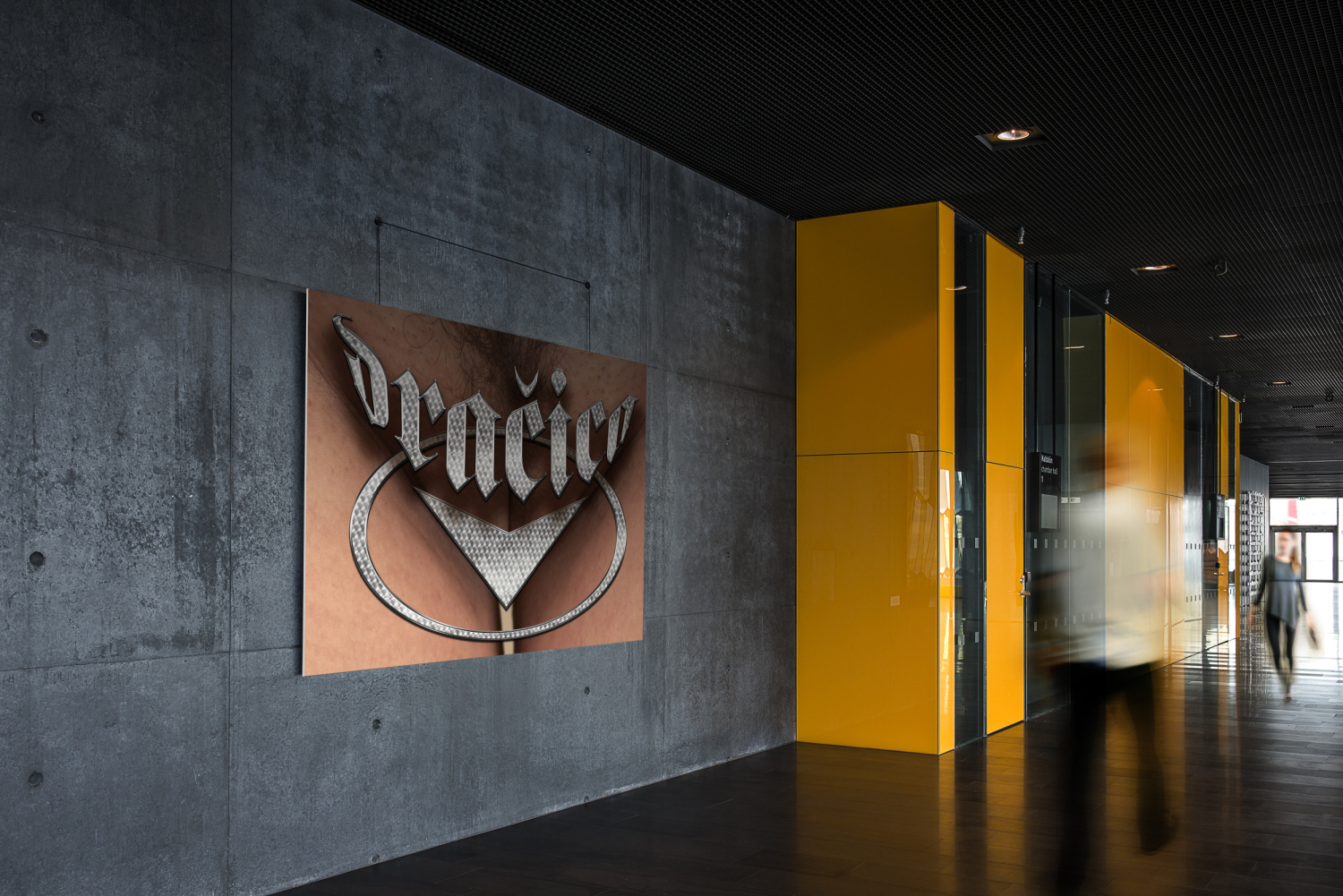 Dračica gallery