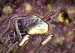 Komiks Mračna - vesmírná loď