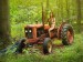 Traktor v lese